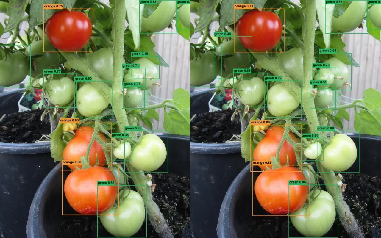 TomatoVision product preview